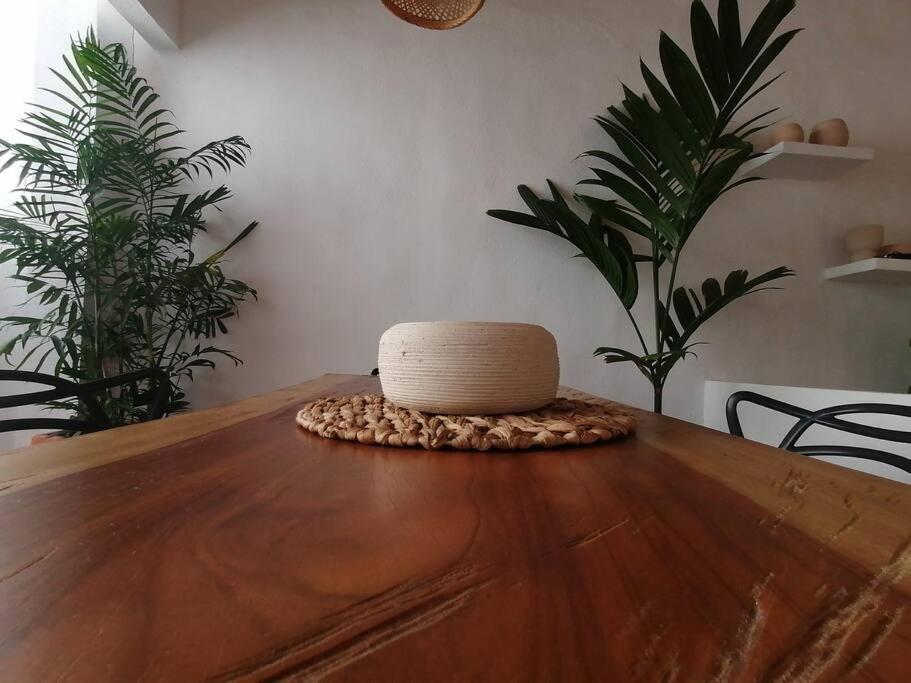 Casa De Palmas